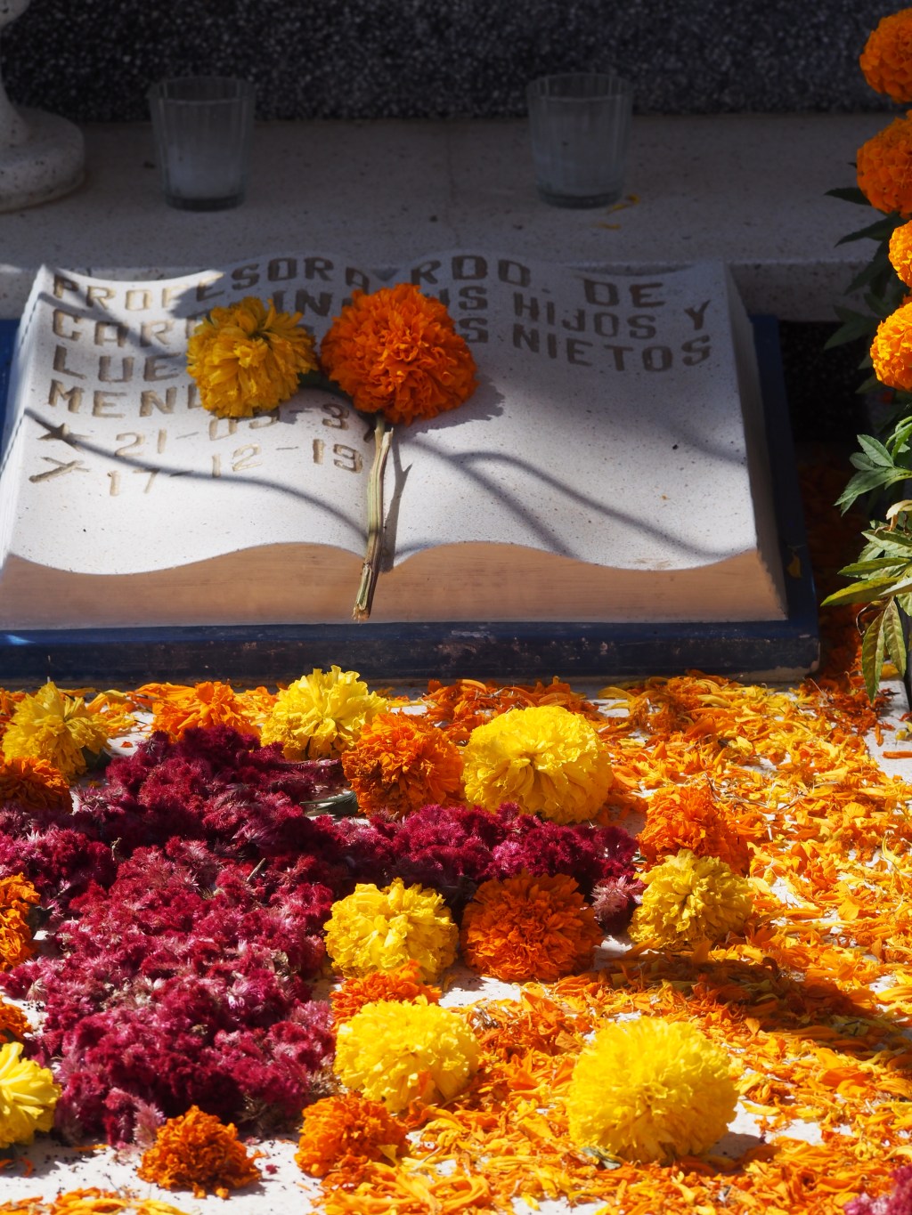 Oaxaca- A land of unparalleled beauty, history, legends, and wasps. P.S.- Fuck&nbsp;Disney