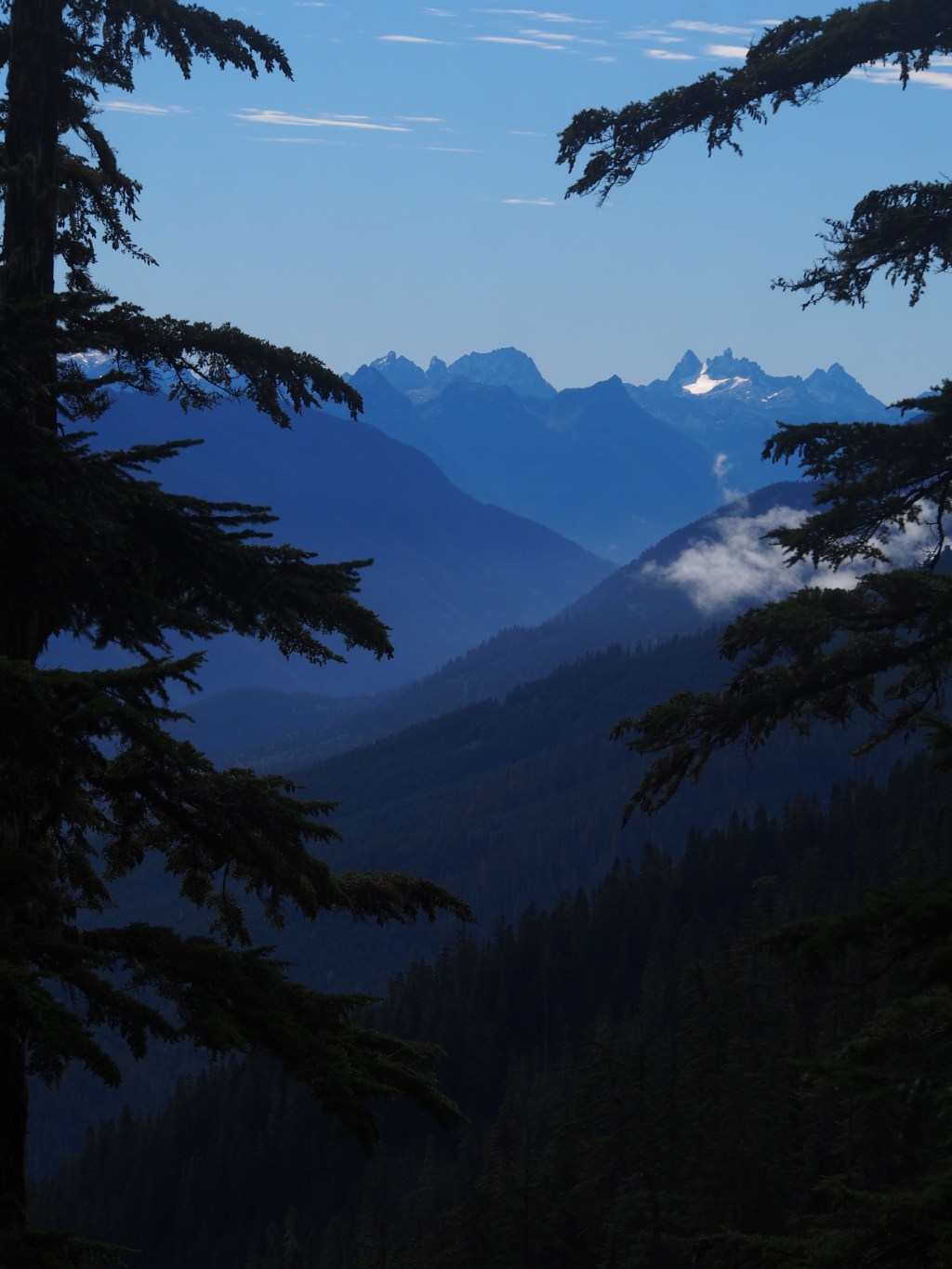 Nature helps me disassociate (Upside down smiley&nbsp;emoji)