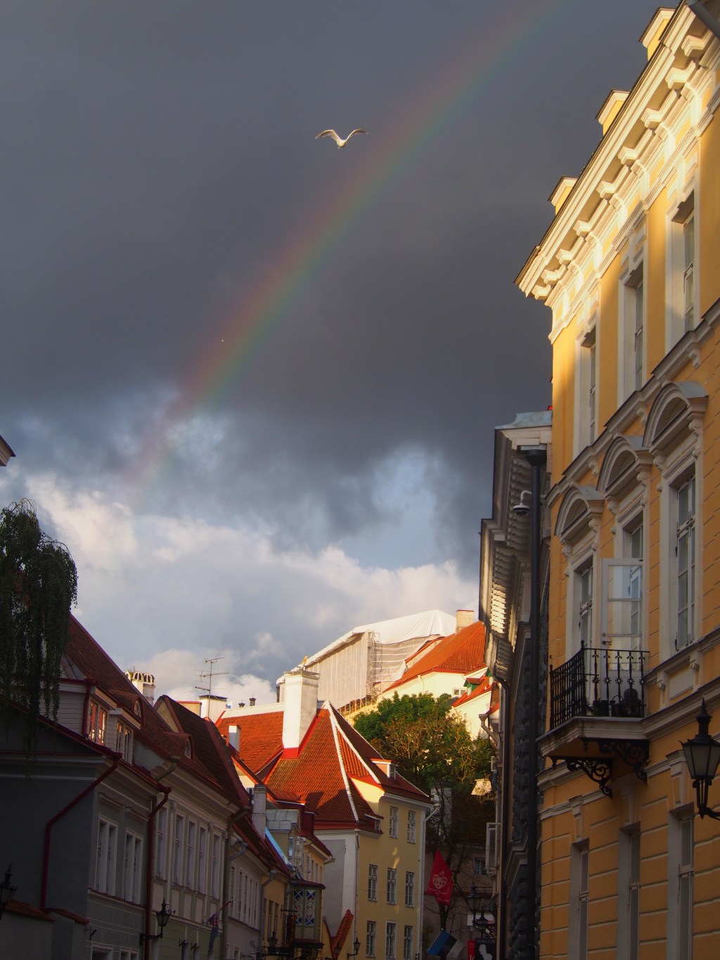 Estonia- A beautiful fairy princess (that presides over the pits of hell-&nbsp;IYKYK)