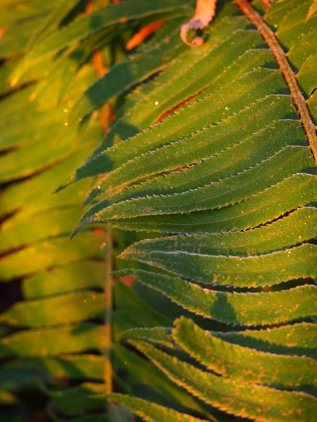 Seattle in the Winter- a wondrous land of darkness and fuckboys named Travis, Spencer or&nbsp;jared.