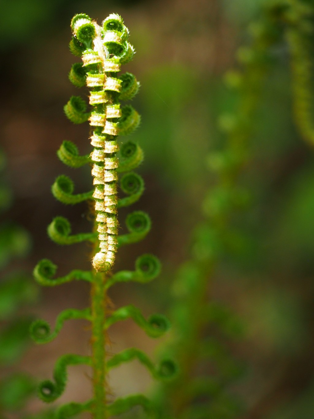 If you don’t fuck with Seattle in the spring, then I 👁️ don’t 🚫🙅fuck 🍆💦with&nbsp;🤔U🫵🫵🫵