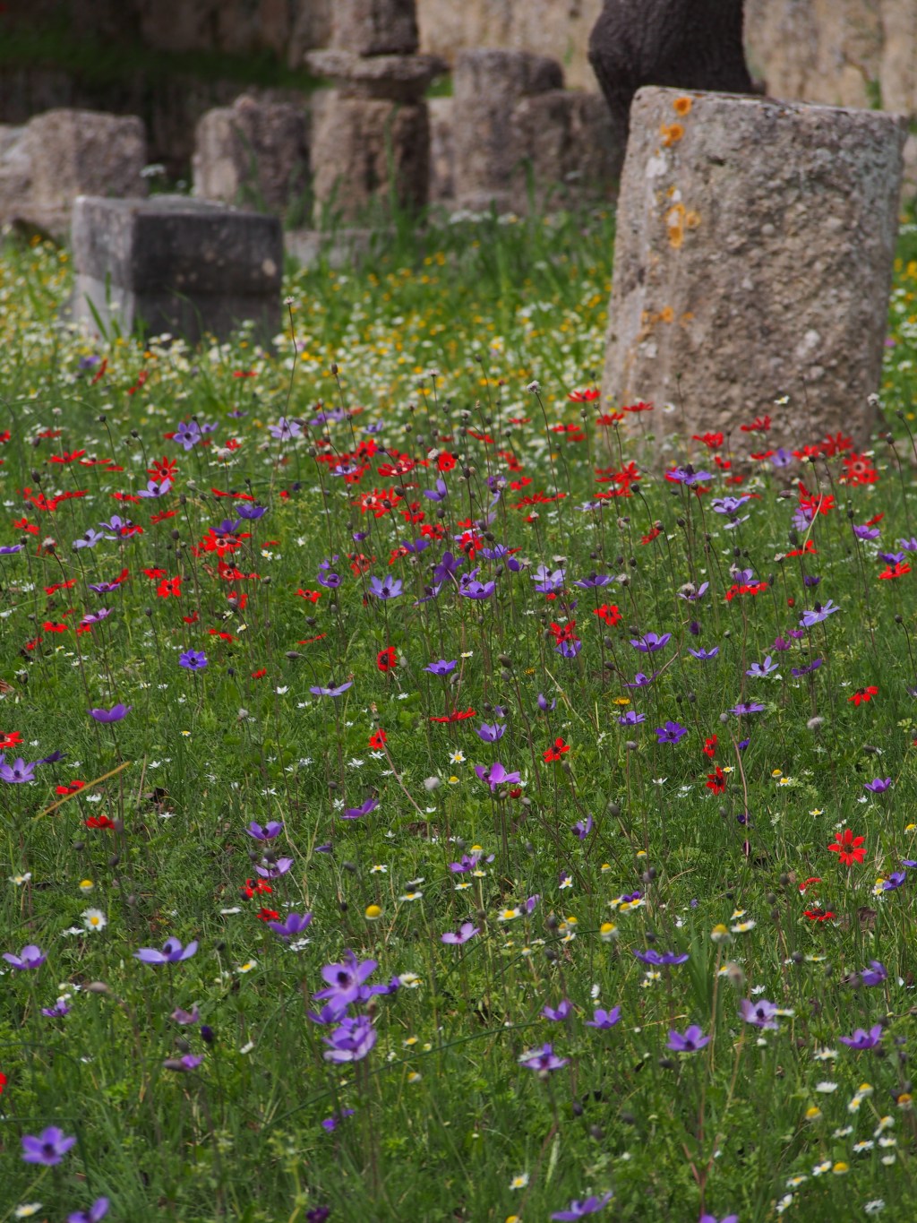 Everyone named Tyler is a messy bitch- and other learnings from Olympia,&nbsp;Greece.