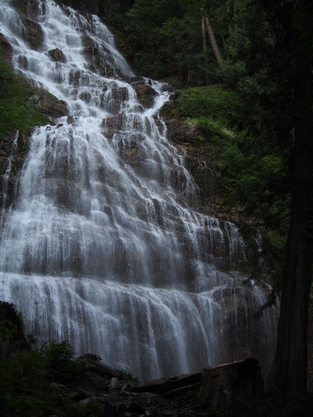 British Columbia (Part 1)- aka the only British thing that isn’t complete 🗑️RUBBISH&nbsp;🗑️