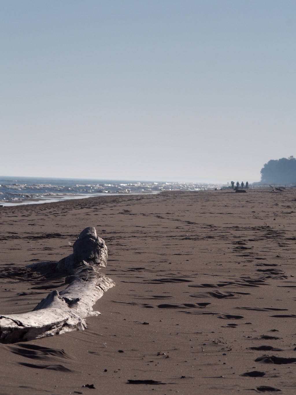 I’m Baaaaaaaack (You Can’t Kill Evil That Easily)- Adventures in Door&nbsp;County.