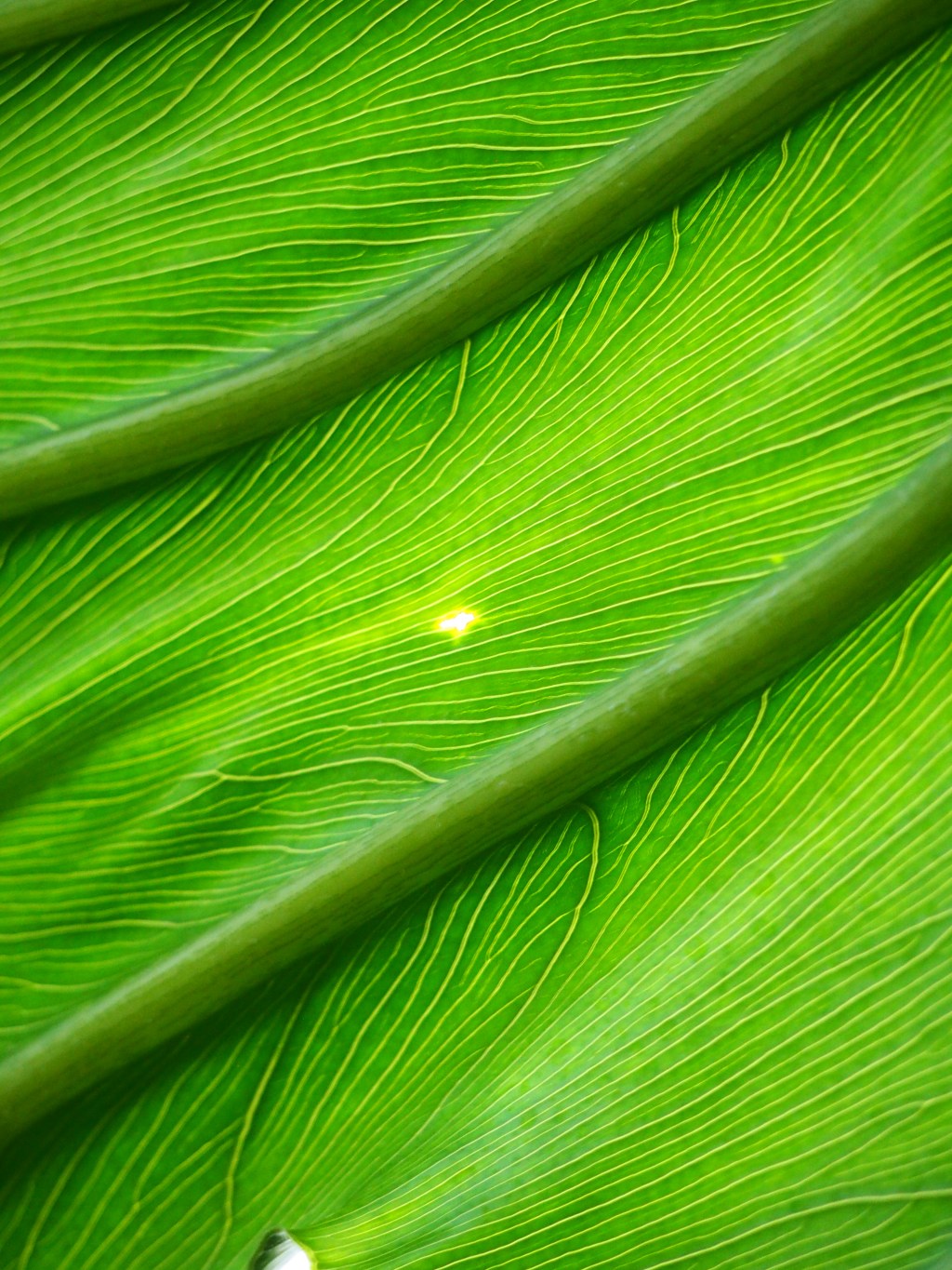 Chicago is, was, and forever will be: THAT.&nbsp;BITCH.